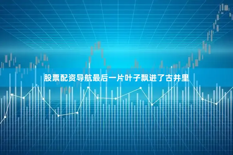 股票配资导航最后一片叶子飘进了古井里